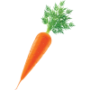 Marchewka