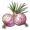 Cebula