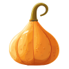 Tykwa