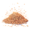 Sezam