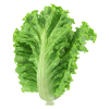 Sałata